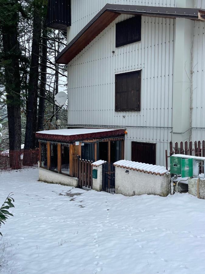 La Veranda Nella Neve - Camigliatello Silano Exterior foto